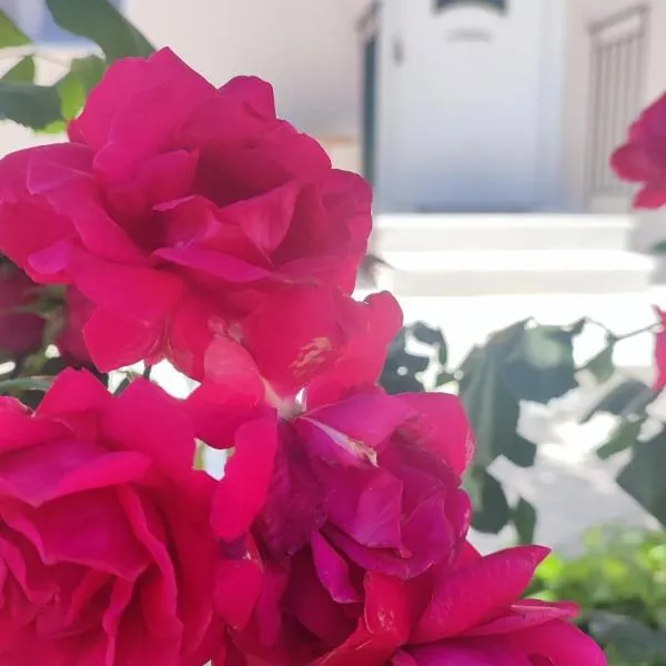 Olivia's house, hotel a Kalogoniá