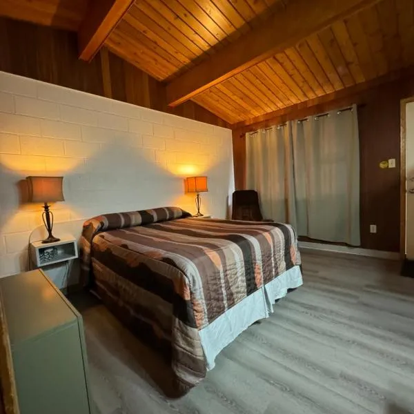 Ace Crown Motel、メディシンハットのホテル