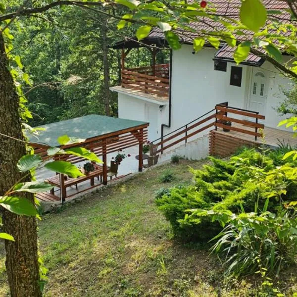 Šumska Kosmaj, hotel in Nemenikuće