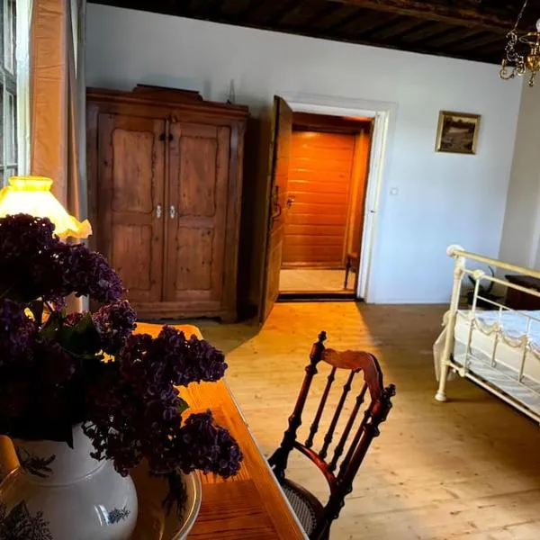 Lauku Mickas Country House, hotel in Zirņi