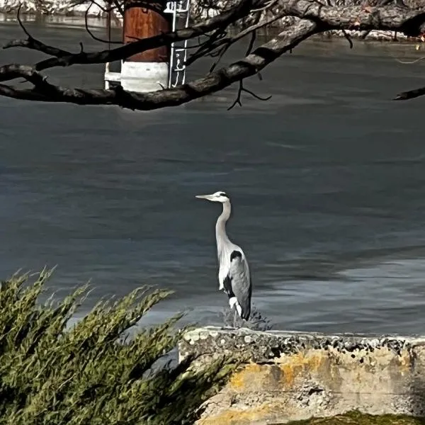 Mountain Springs Nature Retreat – hotel w mieście Kaleden