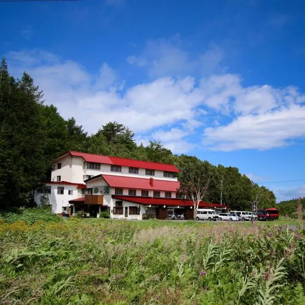 志賀高原　癒しの宿幸の湯、山ノ内町のホテル