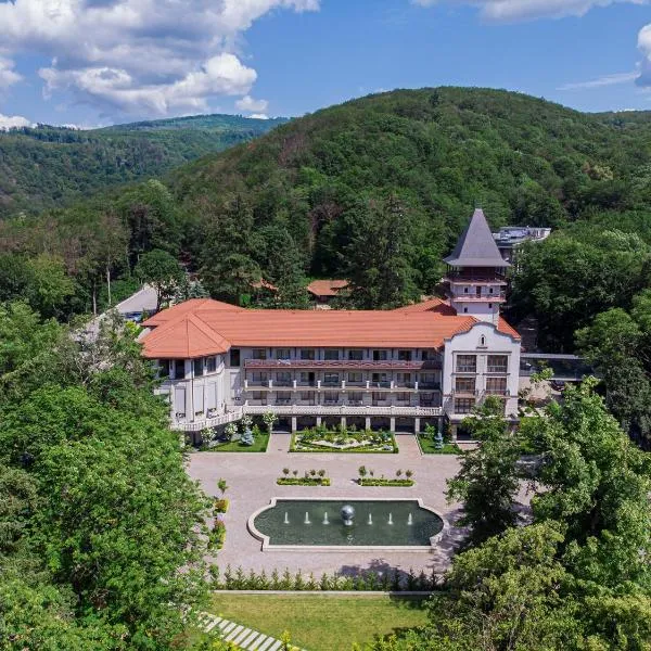 Verkhovyna Resort Medical & Wellness、Kamenitsaのホテル