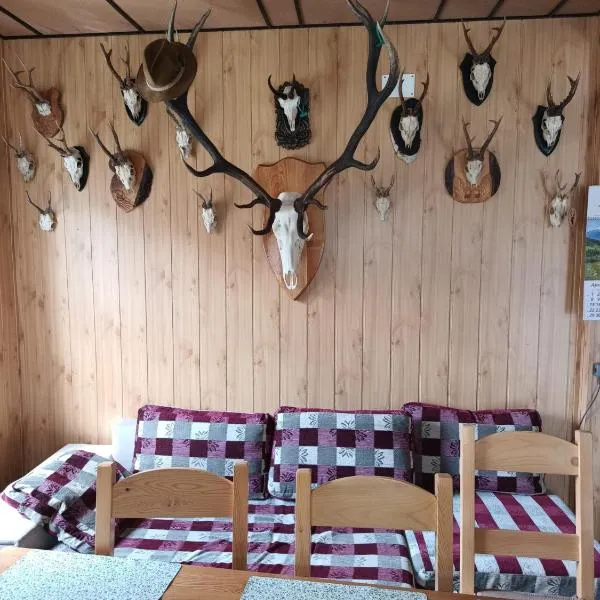 Casa Vanatorului Buzaiel, מלון בואמה בוזאולוי