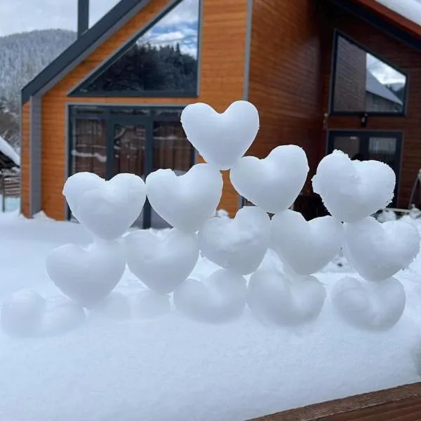 Kokhta Villa In Bakuriani, hotel en Bakuriani