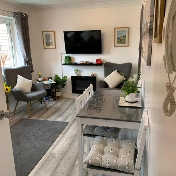 Town Centre Apartment, hotel en Mold