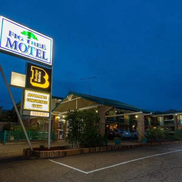 Fig Tree Motel, hôtel à Narrandera