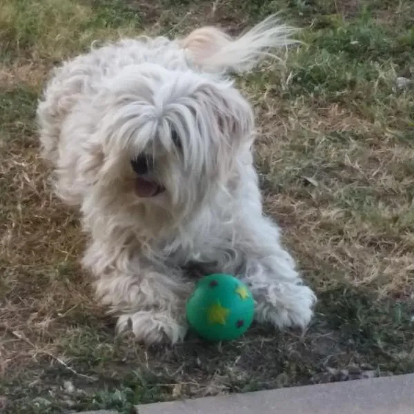 Country View Motel Ilbilbie, ξενοδοχείο σε Ilbilbie