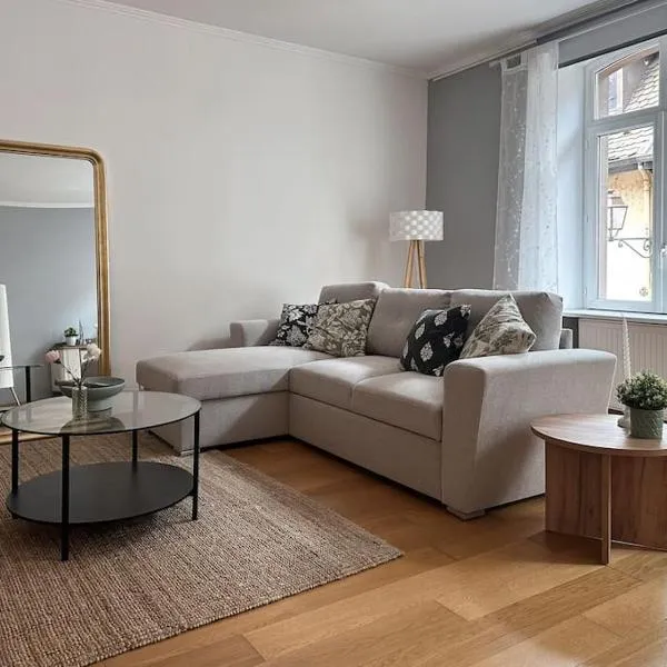 Hypercentre 80m2, à deux pas du Château des Rohan, hotel v destinaci Saverne