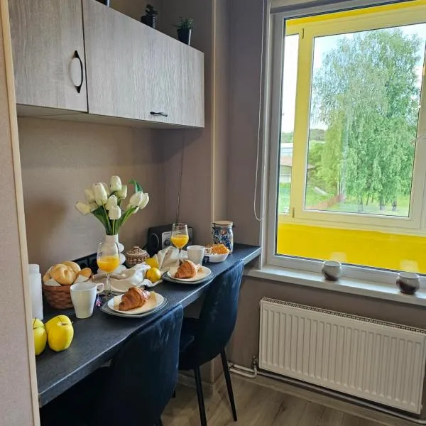 JD apartment, hotel in Ozolnieki
