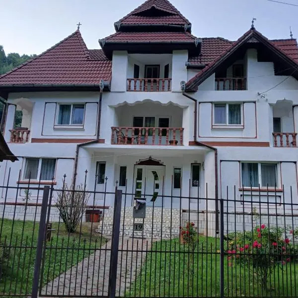 PENSIUNEA ANA Transalpina, hotel in Şugag