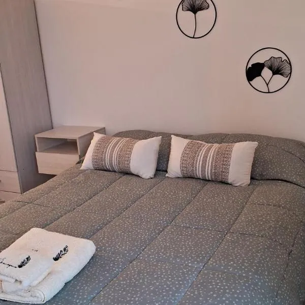 Newenquen Alojamiento, hotel in Neuquén