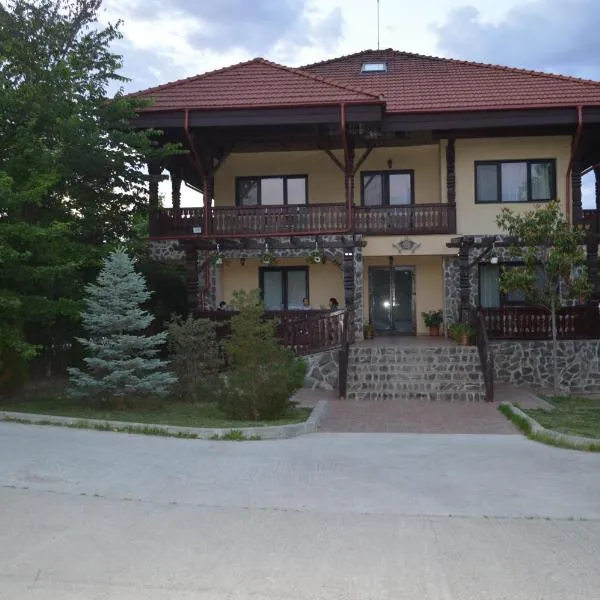 Pensiunea VisAventura, hotel in Vişan