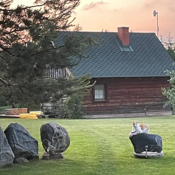 Gintaro pirtelė, hotel in Lazdijai