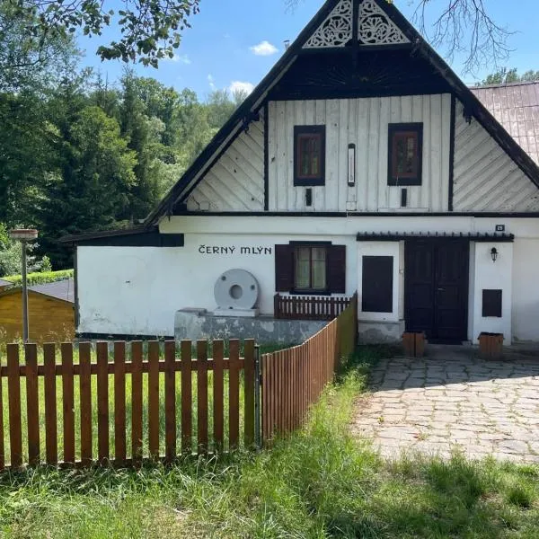 Penzion Černý Mlýn, hotel v Dubé