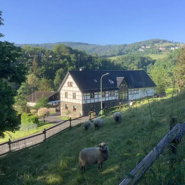 Berg Blick Eifler Bauernhaus modern restauriert, hôtel à Simmerath
