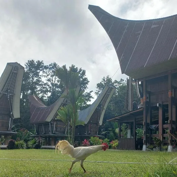 Toraja Homestay & Coffee Bunna, ξενοδοχείο σε Rantepao