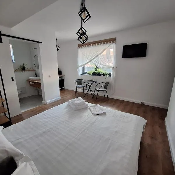 Casa de Caramida, ξενοδοχείο στο Μπρασόβ