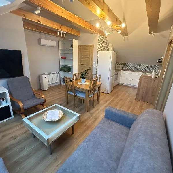 Apartament_Zbąszyń, hotel v destinaci Zbąszyń