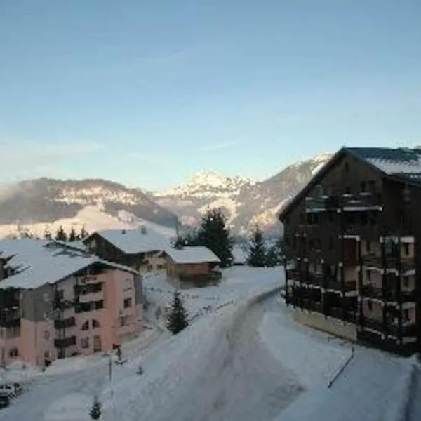 appartement montagne la vallée verte cœur station Hirmentaz, hotel v mestu Bellevaux