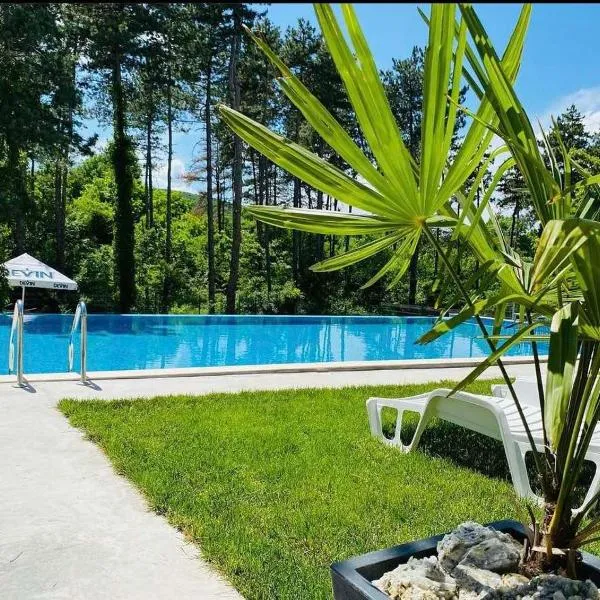 D Villa, hotel in Mineralni Bani