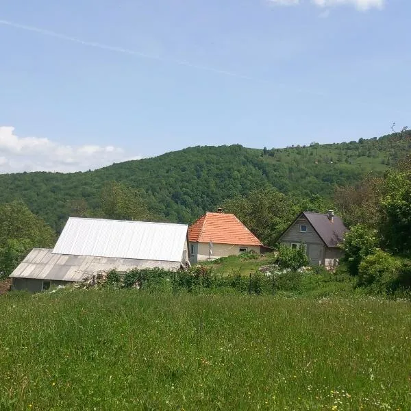 Seosko domaćinstvo Aprcović, hotell sihtkohas Plužine