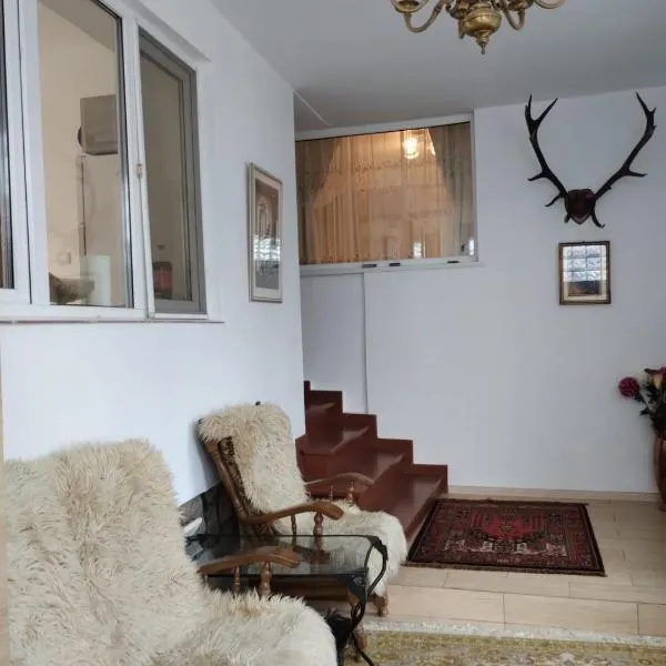 Bucegi View, хотел в Бущени