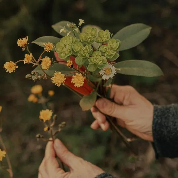 Il Pruno - Luxury Tent, hotel in San Giuliano Terme