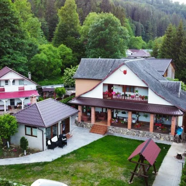 Casa Marco, hotel in Lepşa