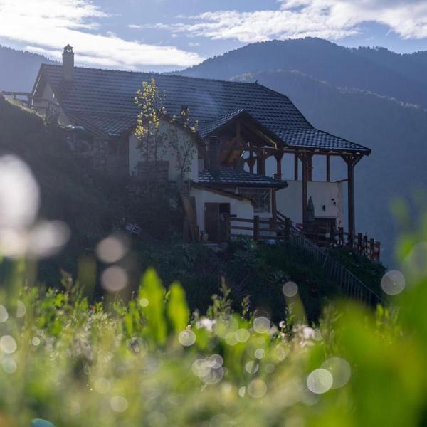 Alpin Zeneli Chalet, Çerem