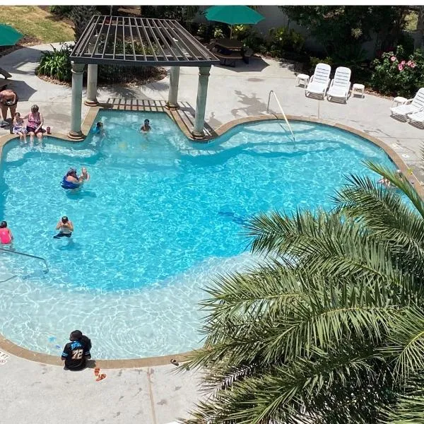 Ocean View Beach Front Condo with Heated Swimming Pools 391，加爾維斯敦的飯店