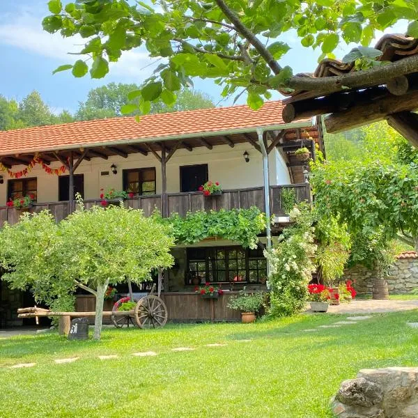 Konak Tosa, hotel in Poganovo