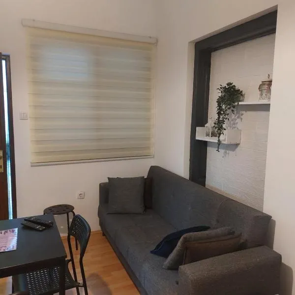 Studio Janko, ξενοδοχείο σε Vrnjačka Banja