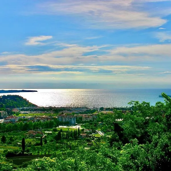 Hiša Olive Portorož - Olive House Portorož, hotel v Portoroži