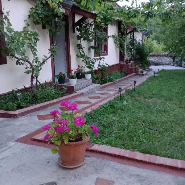 Casa Dragoi din Socolari, 218, Caras - Severin, hotel in Socolari