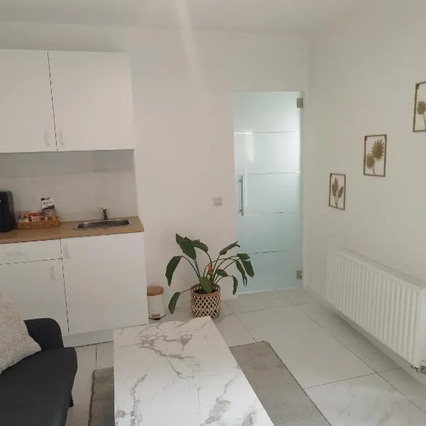 Apartment l'Anil Garden With Garage Private, hotel di Dinant