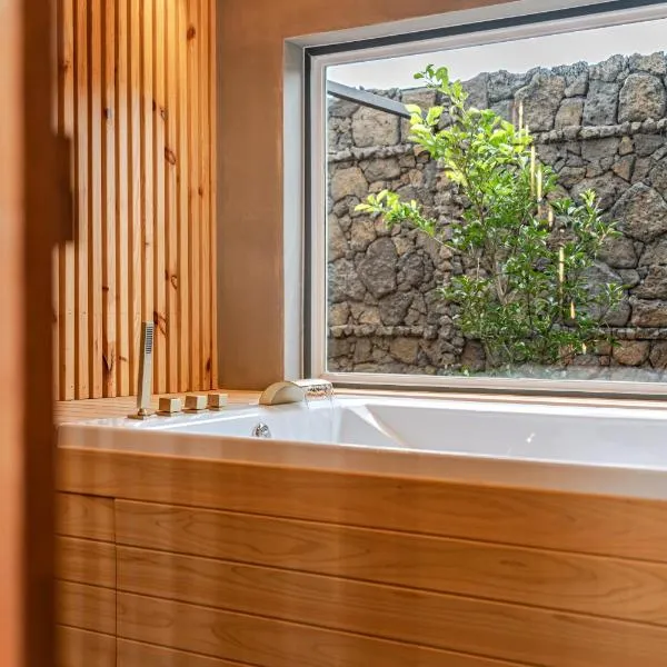 Le Village Aewol G, hotel in Jeju