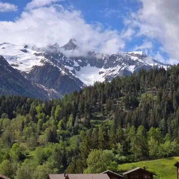 Suite Tucan, hotel v destinaci Mühlebach