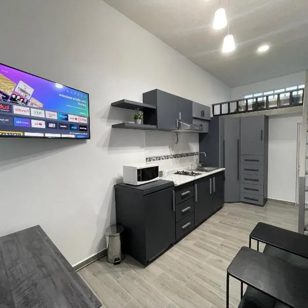 Loft a 5 minutos de Plaza de Toros, Hotel in Pachuca de Soto