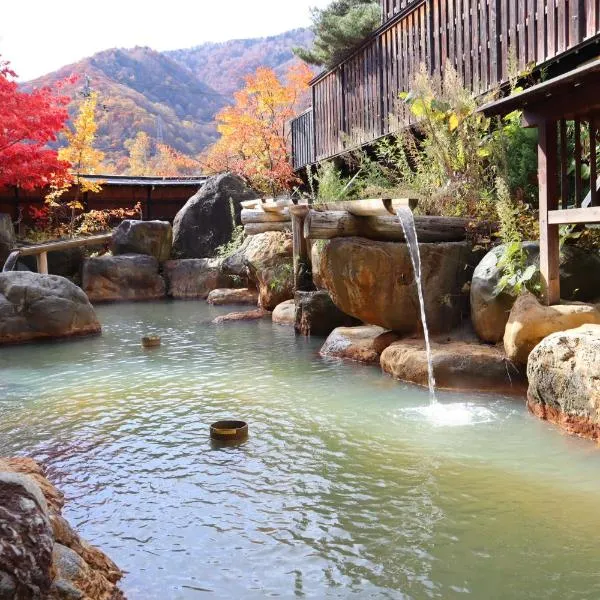 Hirayukan, hotel in Takayama