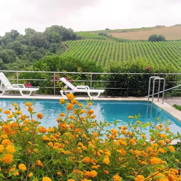 Quinta Santo António, hotel v destinaci Pereiro da Palhacana