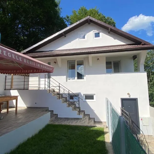 Casa NICORAD Apartamente, Hotel in Pucioasa