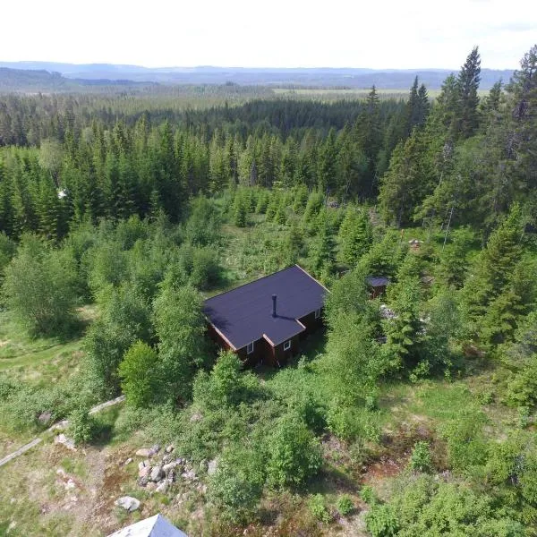 Cozy forest cabin with amazing mountain view, hotel in Torsby