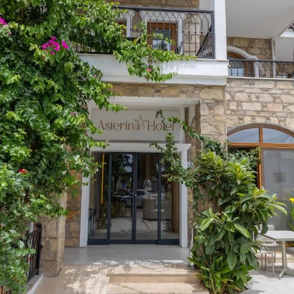 Asterina Hotel、トゥルグトレイスのホテル