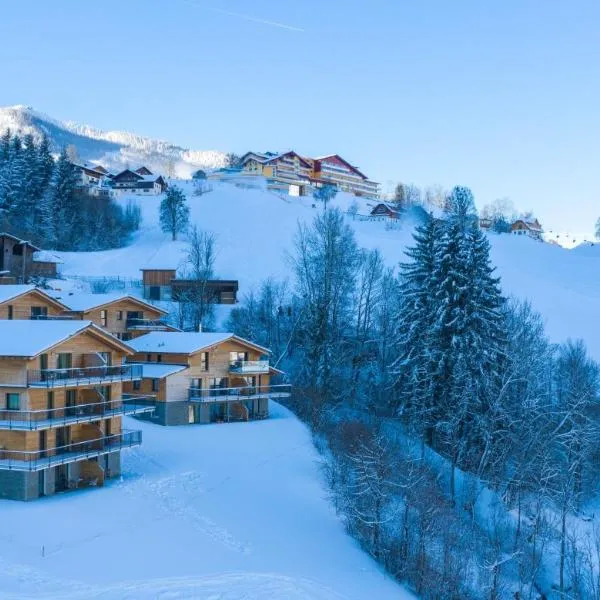 Panorama Lodge Premium Apartments,位于斯拉德明的酒店