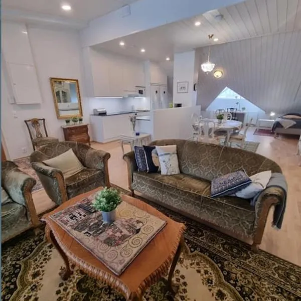 Uniikki kattohuoneisto ydinkeskustassa, lämmin pysäköinti, max 6 hlöä, Hotel in Kuopio