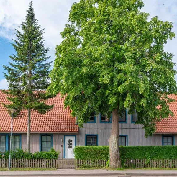 Egidijaus Vila, hotel sa Nida