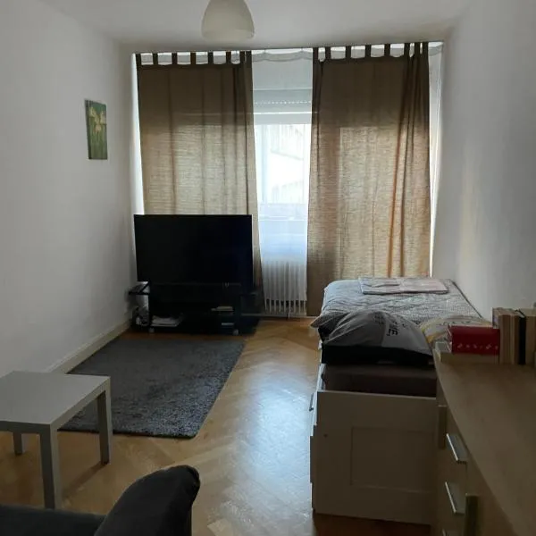 Cute Geneva Studio, hotel en Ginebra