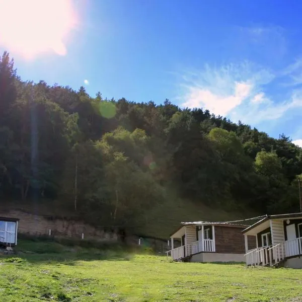 Forest Cabins, hotell i Kazbegi