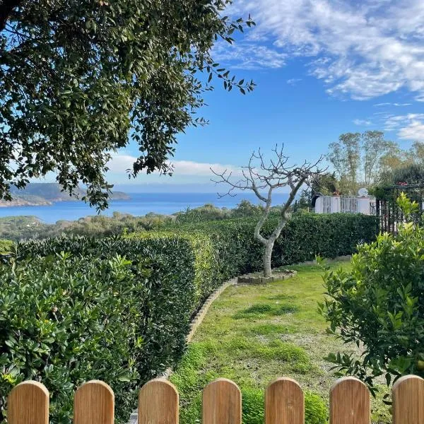 Villa Tany、カポリーヴェリのホテル